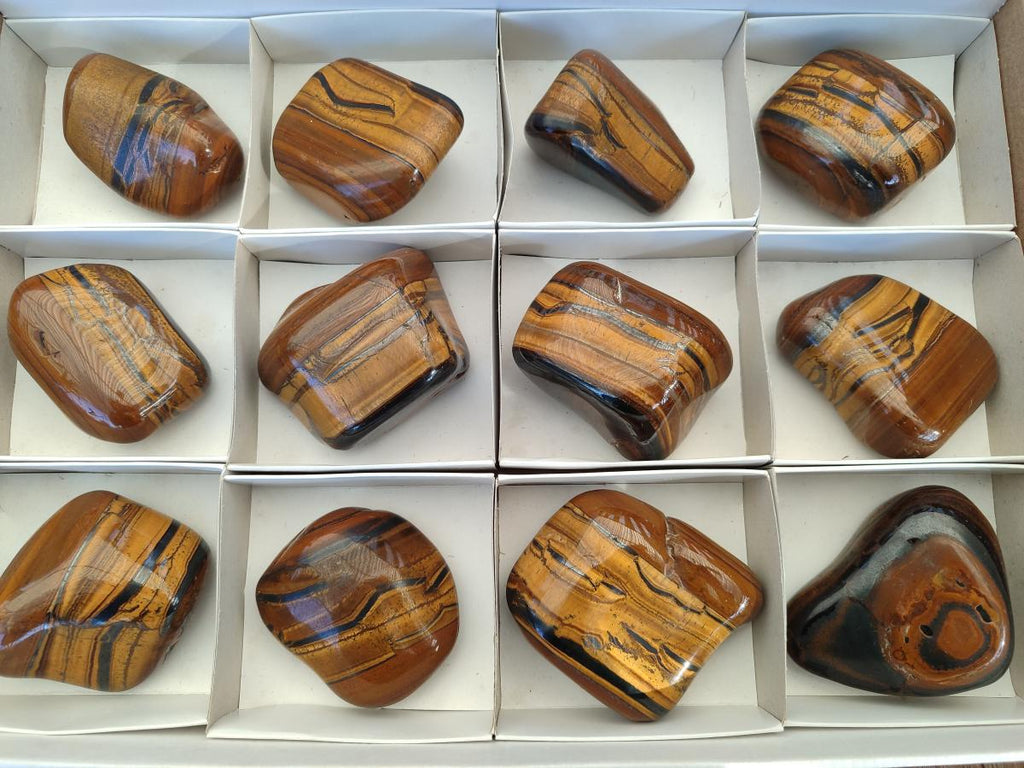Polished Golden Tigers Eye Free Forms x 12 From Prieska, South Africa