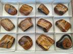 Polished Golden Tigers Eye Free Forms x 12 From Prieska, South Africa