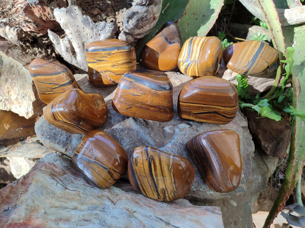 Polished Golden Tigers Eye Free Forms x 12 From Prieska, South Africa