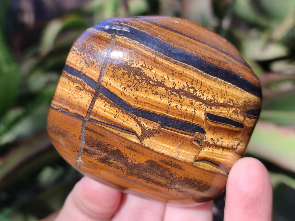 Polished Golden Tigers Eye Free Forms x 12 From Prieska, South Africa