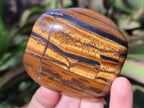 Polished Golden Tigers Eye Free Forms x 12 From Prieska, South Africa