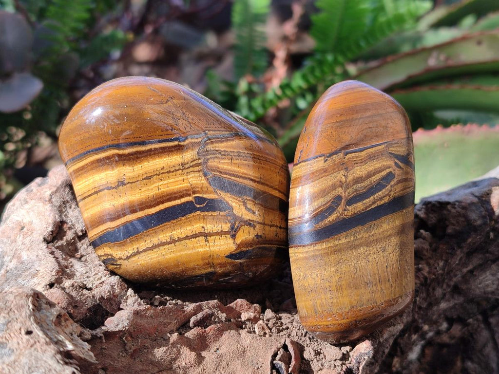 Polished Golden Tigers Eye Free Forms x 12 From Prieska, South Africa