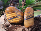 Polished Golden Tigers Eye Free Forms x 12 From Prieska, South Africa