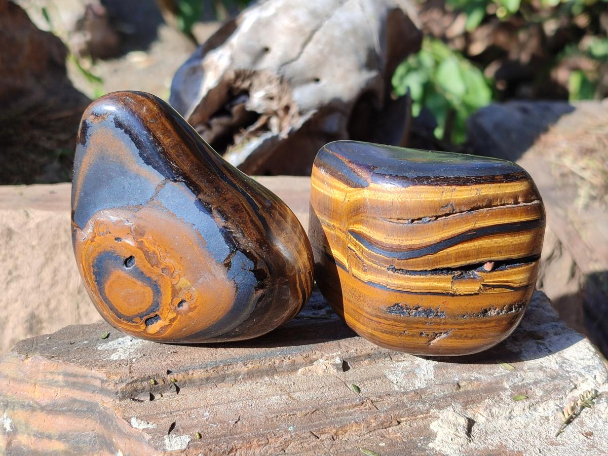 Polished Golden Tigers Eye Free Forms x 12 From Prieska, South Africa