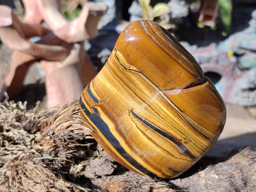 Polished Golden Tigers Eye Free Forms x 12 From Prieska, South Africa