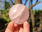 Polished Gemmy Star Rose Quartz Spheres x 6 From Madagascar - Toprock Gemstones and Minerals 