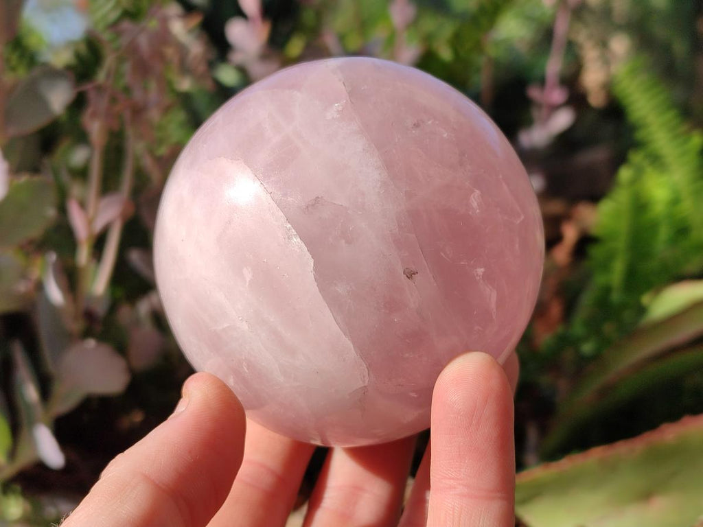 Polished Gemmy Star Rose Quartz Spheres x 6 From Madagascar - Toprock Gemstones and Minerals 