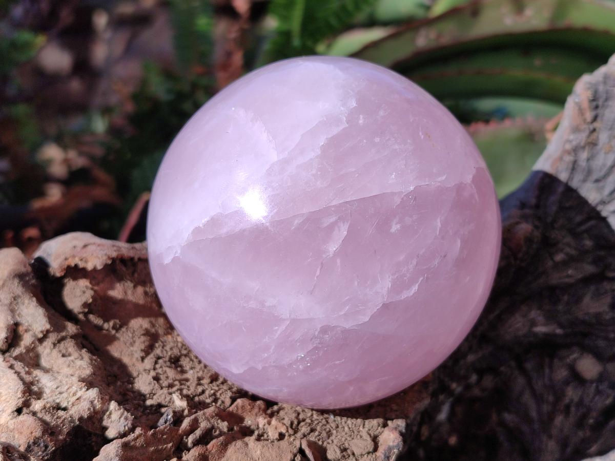 Polished Gemmy Star Rose Quartz Spheres x 6 From Madagascar - Toprock Gemstones and Minerals 