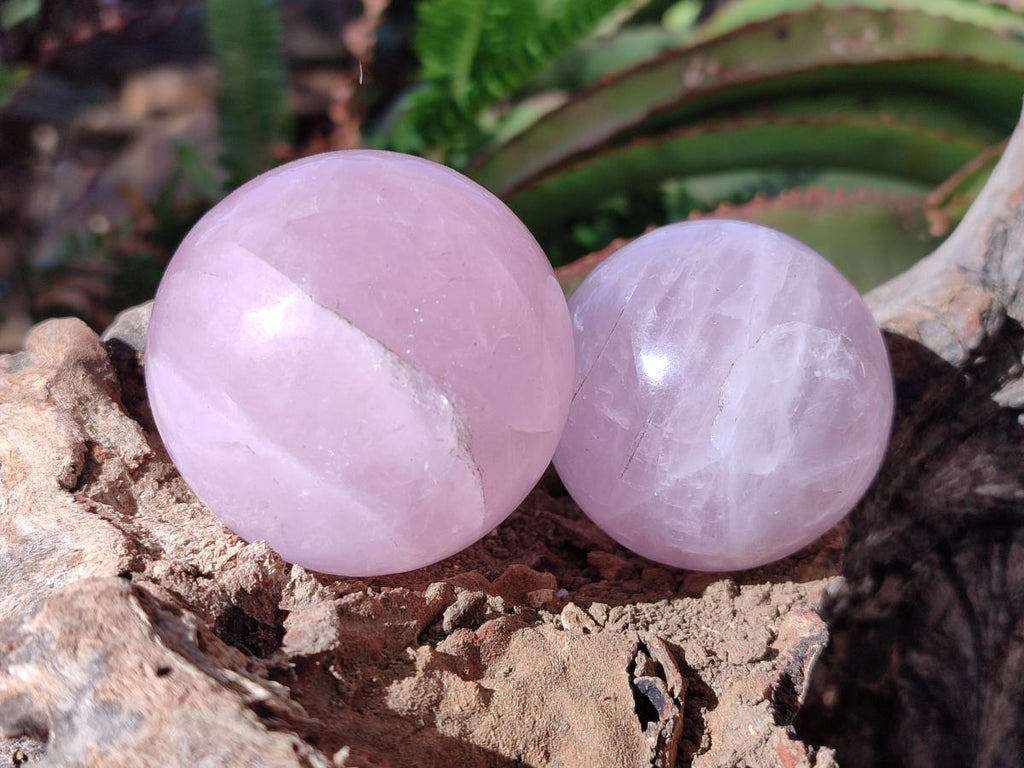 Polished Gemmy Star Rose Quartz Spheres x 6 From Madagascar - Toprock Gemstones and Minerals 