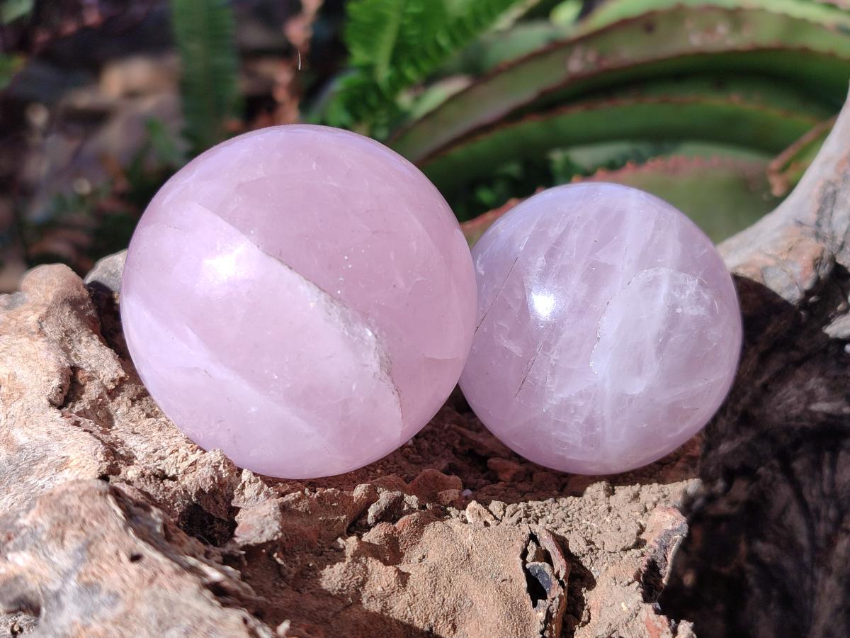 Polished Gemmy Star Rose Quartz Spheres x 6 From Madagascar - Toprock Gemstones and Minerals 