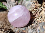 Polished Gemmy Star Rose Quartz Spheres x 6 From Madagascar - Toprock Gemstones and Minerals 