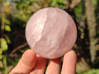 Polished Gemmy Star Rose Quartz Spheres x 6 From Madagascar - Toprock Gemstones and Minerals 