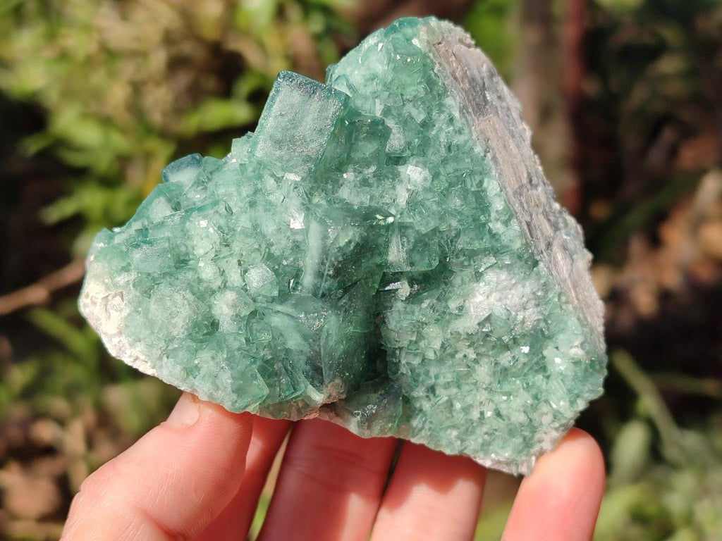 Natural Green Cubic Fluorite Specimens x 6 From Mandrosonoro, Madagascar - Toprock Gemstones and Minerals 