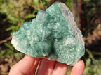 Natural Green Cubic Fluorite Specimens x 6 From Mandrosonoro, Madagascar - Toprock Gemstones and Minerals 