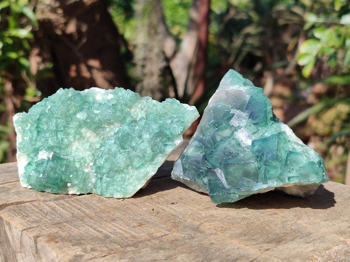 Natural Green Cubic Fluorite Specimens x 6 From Mandrosonoro, Madagascar - Toprock Gemstones and Minerals 