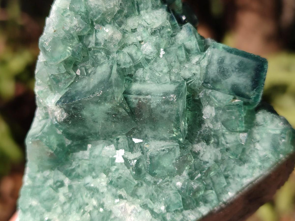 Natural Green Cubic Fluorite Specimens x 6 From Mandrosonoro, Madagascar - Toprock Gemstones and Minerals 