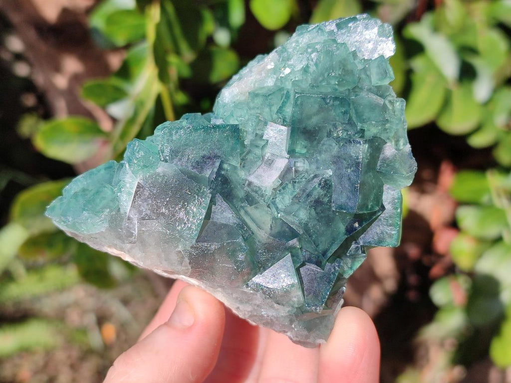 Natural Green Cubic Fluorite Specimens x 6 From Mandrosonoro, Madagascar - Toprock Gemstones and Minerals 