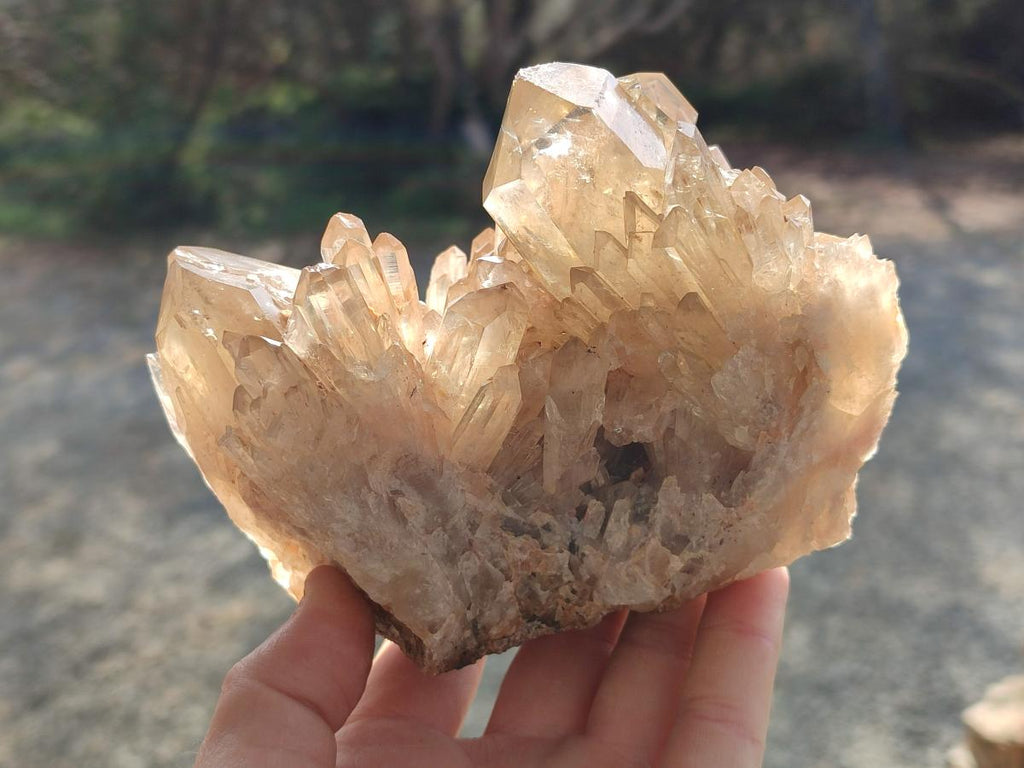 Polished and Natural Cascading Smokey Citrine Quartz Clusters x 2 From Luena, Congo - Toprock Gemstones and Minerals 