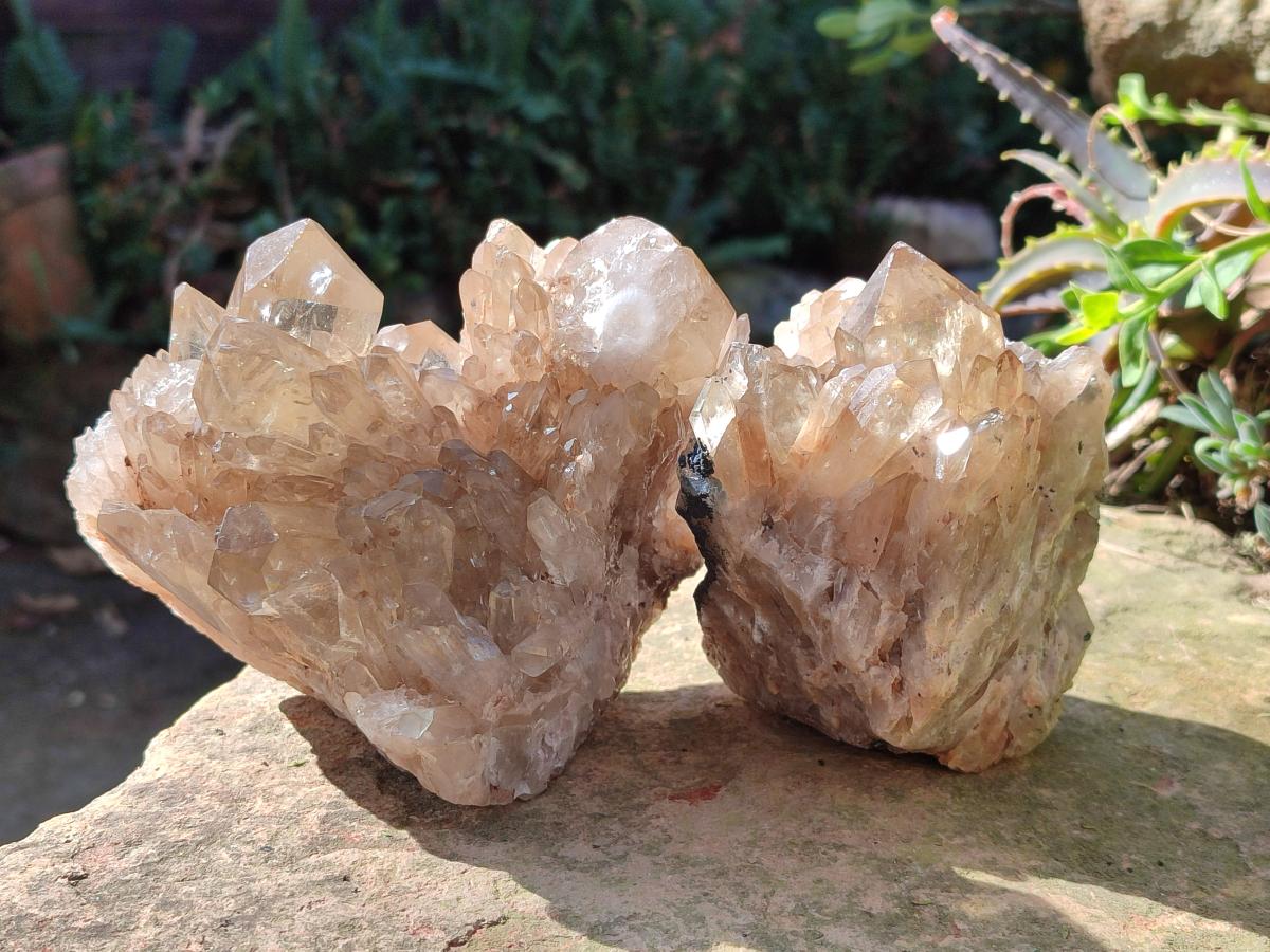 Polished and Natural Cascading Smokey Citrine Quartz Clusters x 2 From Luena, Congo - Toprock Gemstones and Minerals 