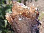 Polished and Natural Cascading Smokey Citrine Quartz Clusters x 2 From Luena, Congo - Toprock Gemstones and Minerals 