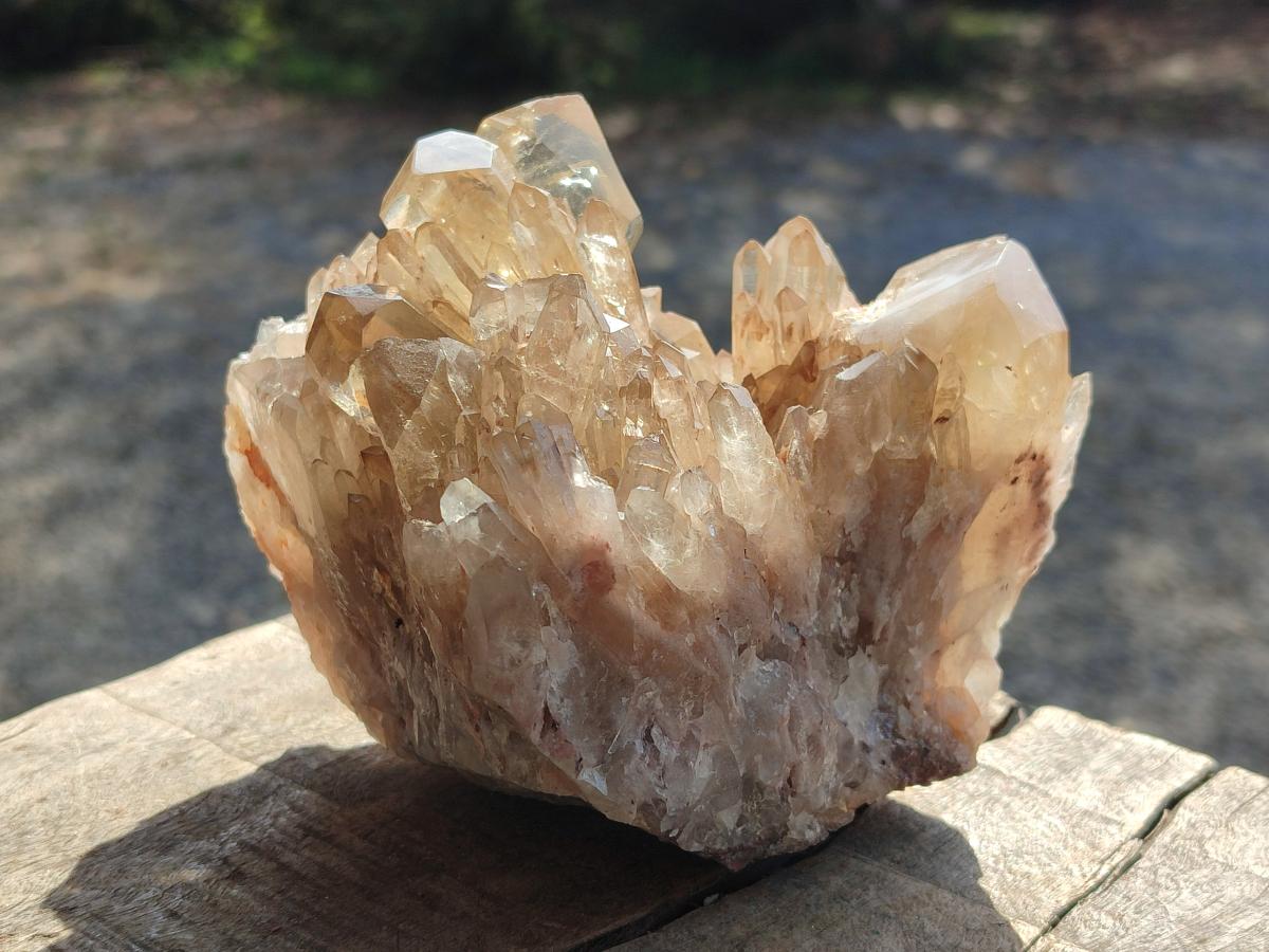 Polished and Natural Cascading Smokey Citrine Quartz Clusters x 2 From Luena, Congo - Toprock Gemstones and Minerals 
