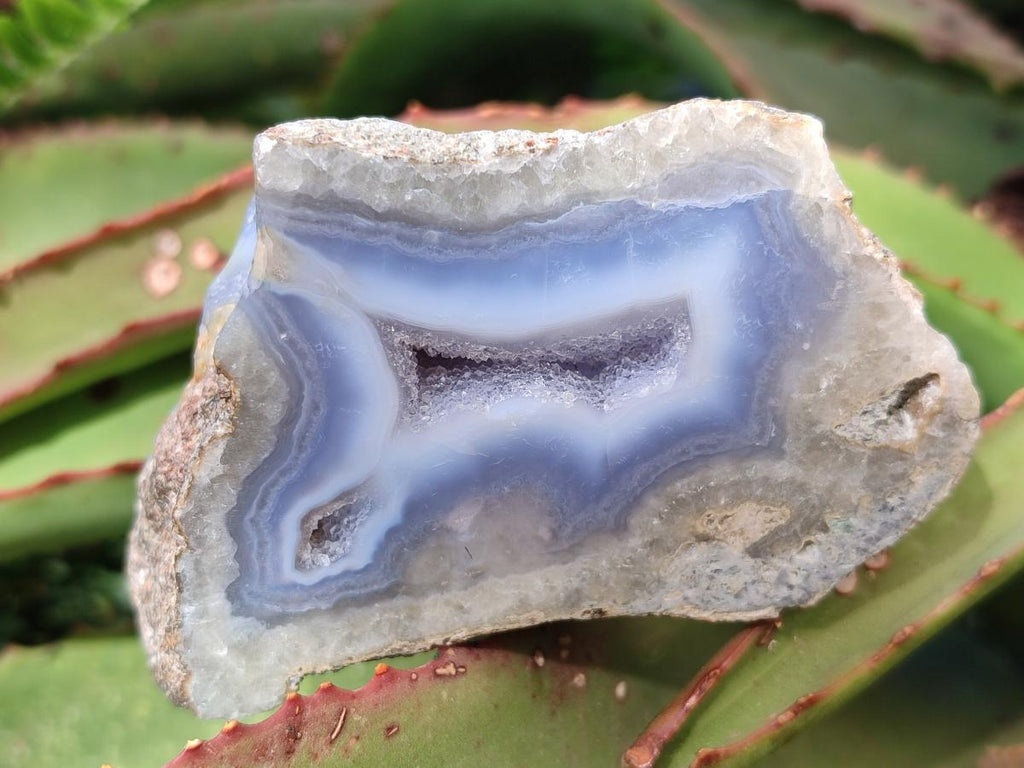 Polished and Natural One Side Blue Lace Agate Geodes x 6 From Nsanje, Malawi - Toprock Gemstones and Minerals 