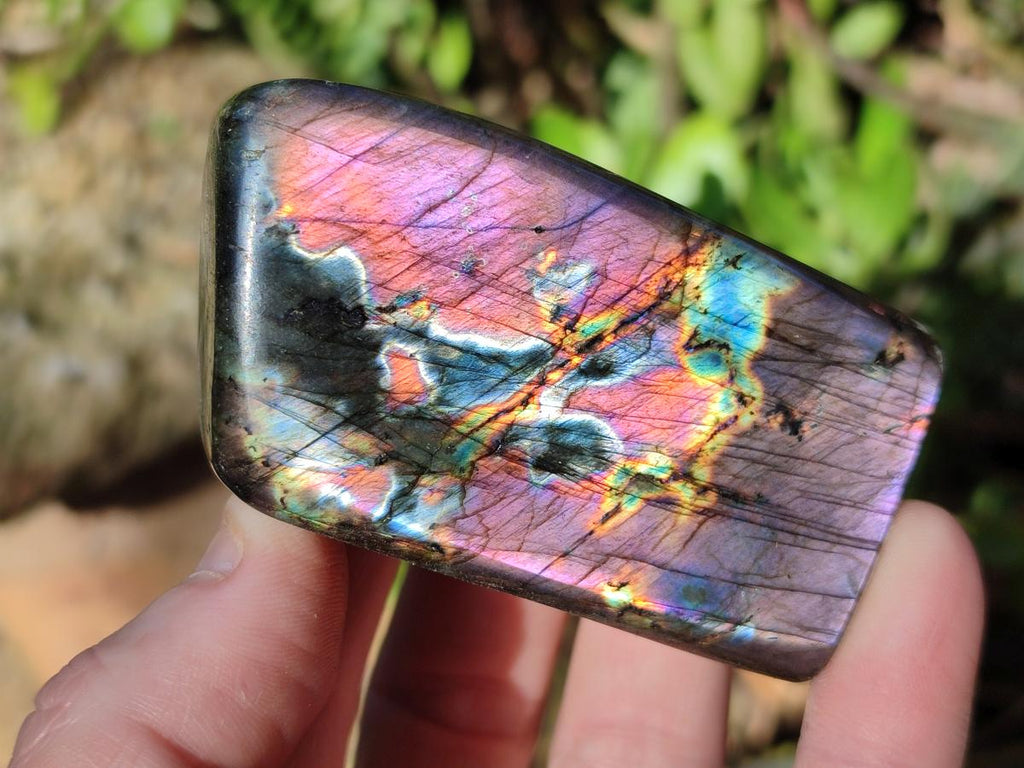 Polished Spectrolite Labradorite Standing Display Pieces x 13 From Madagascar - Toprock Gemstones and Minerals 