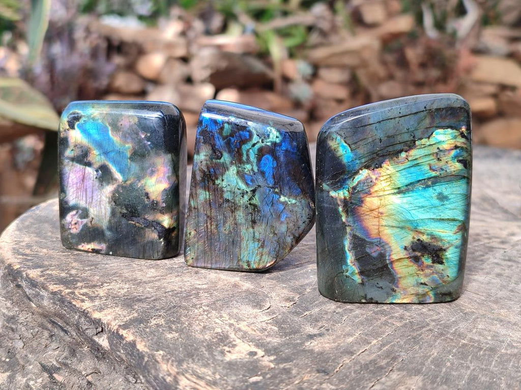 Polished Spectrolite Labradorite Standing Display Pieces x 13 From Madagascar - Toprock Gemstones and Minerals 