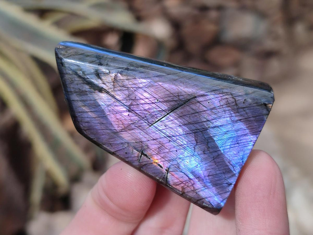 Polished Spectrolite Labradorite Standing Display Pieces x 13 From Madagascar - Toprock Gemstones and Minerals 