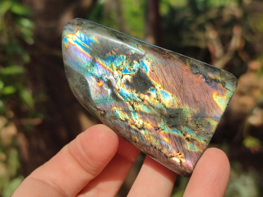Polished Spectrolite Labradorite Standing Display Pieces x 13 From Madagascar - Toprock Gemstones and Minerals 