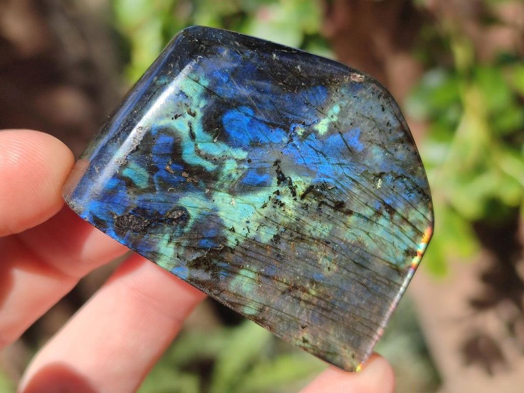 Polished Spectrolite Labradorite Standing Display Pieces x 13 From Madagascar - Toprock Gemstones and Minerals 