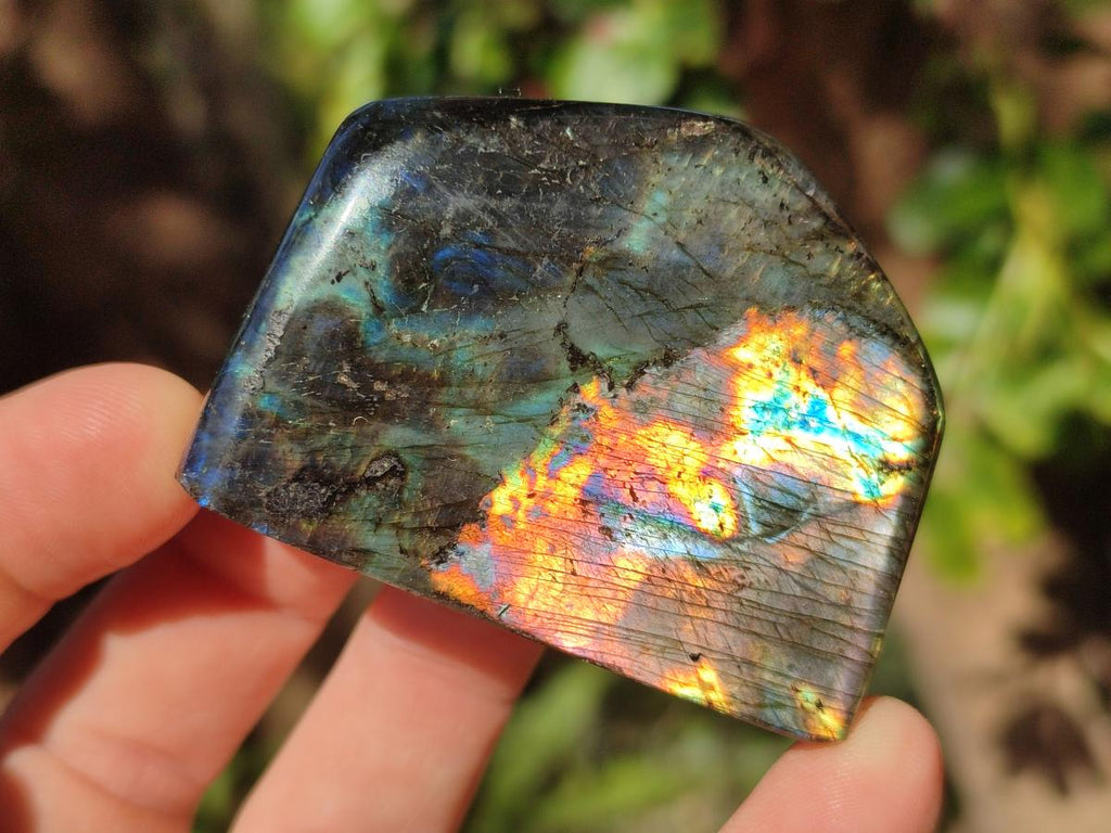 Polished Spectrolite Labradorite Standing Display Pieces x 13 From Madagascar - Toprock Gemstones and Minerals 