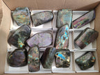 Polished Spectrolite Labradorite Standing Display Pieces x 13 From Madagascar - Toprock Gemstones and Minerals 