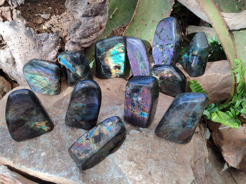 Polished Spectrolite Labradorite Standing Display Pieces x 13 From Madagascar - Toprock Gemstones and Minerals 