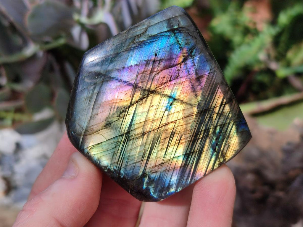 Polished Spectrolite Labradorite Standing Display Pieces x 13 From Madagascar - Toprock Gemstones and Minerals 
