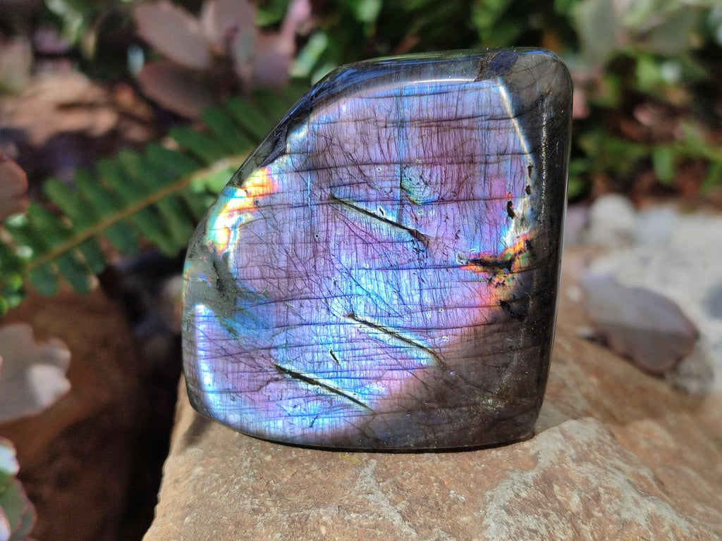 Polished Spectrolite Labradorite Standing Display Pieces x 13 From Madagascar - Toprock Gemstones and Minerals 