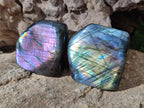 Polished Spectrolite Labradorite Standing Display Pieces x 13 From Madagascar - Toprock Gemstones and Minerals 
