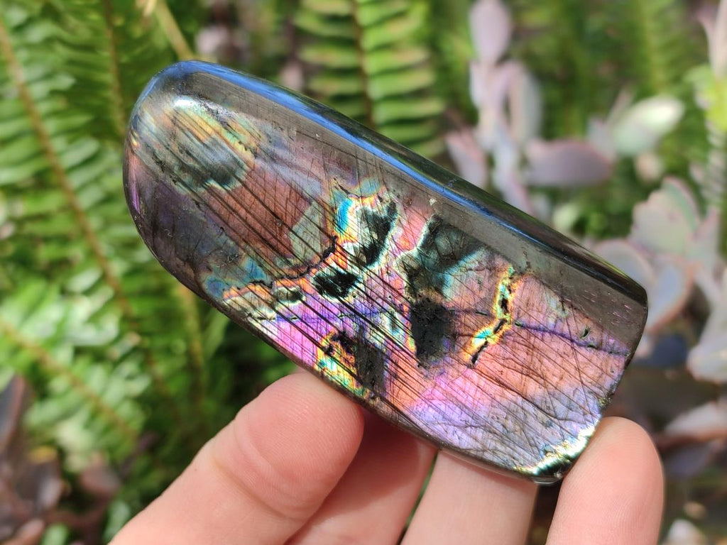 Polished Spectrolite Labradorite Standing Display Pieces x 13 From Madagascar - Toprock Gemstones and Minerals 