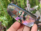 Polished Spectrolite Labradorite Standing Display Pieces x 13 From Madagascar - Toprock Gemstones and Minerals 