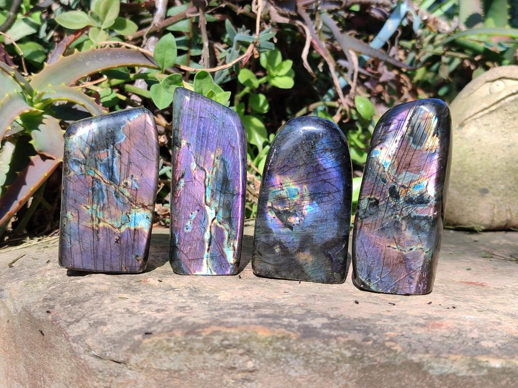 Polished Spectrolite Labradorite Standing Display Pieces x 13 From Madagascar - Toprock Gemstones and Minerals 