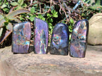 Polished Spectrolite Labradorite Standing Display Pieces x 13 From Madagascar - Toprock Gemstones and Minerals 