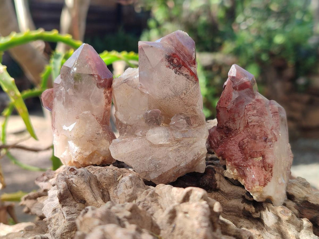 Natural Red Hematoid Quartz Crystals x 24 From Karoi, Zimbabwe - Toprock Gemstones and Minerals 