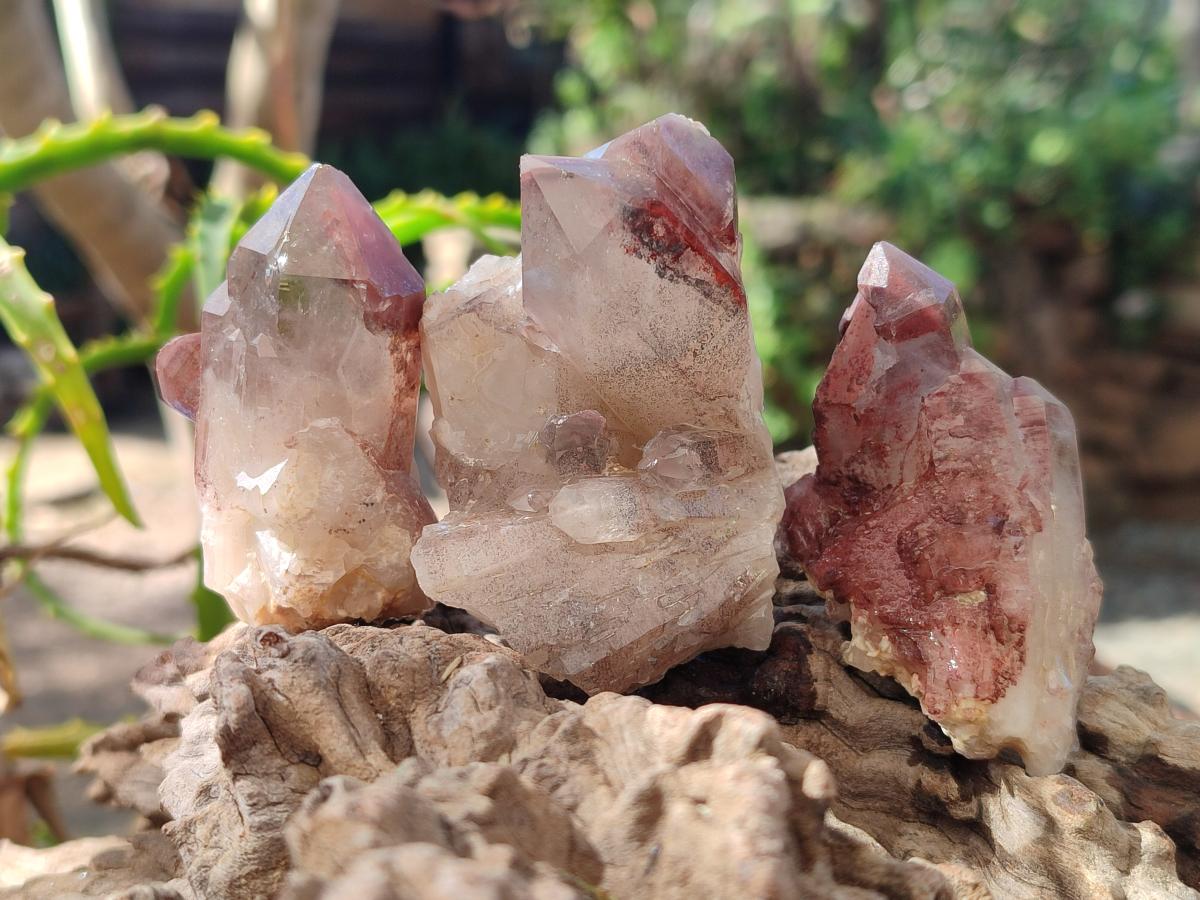 Natural Red Hematoid Quartz Crystals x 24 From Karoi, Zimbabwe - Toprock Gemstones and Minerals 
