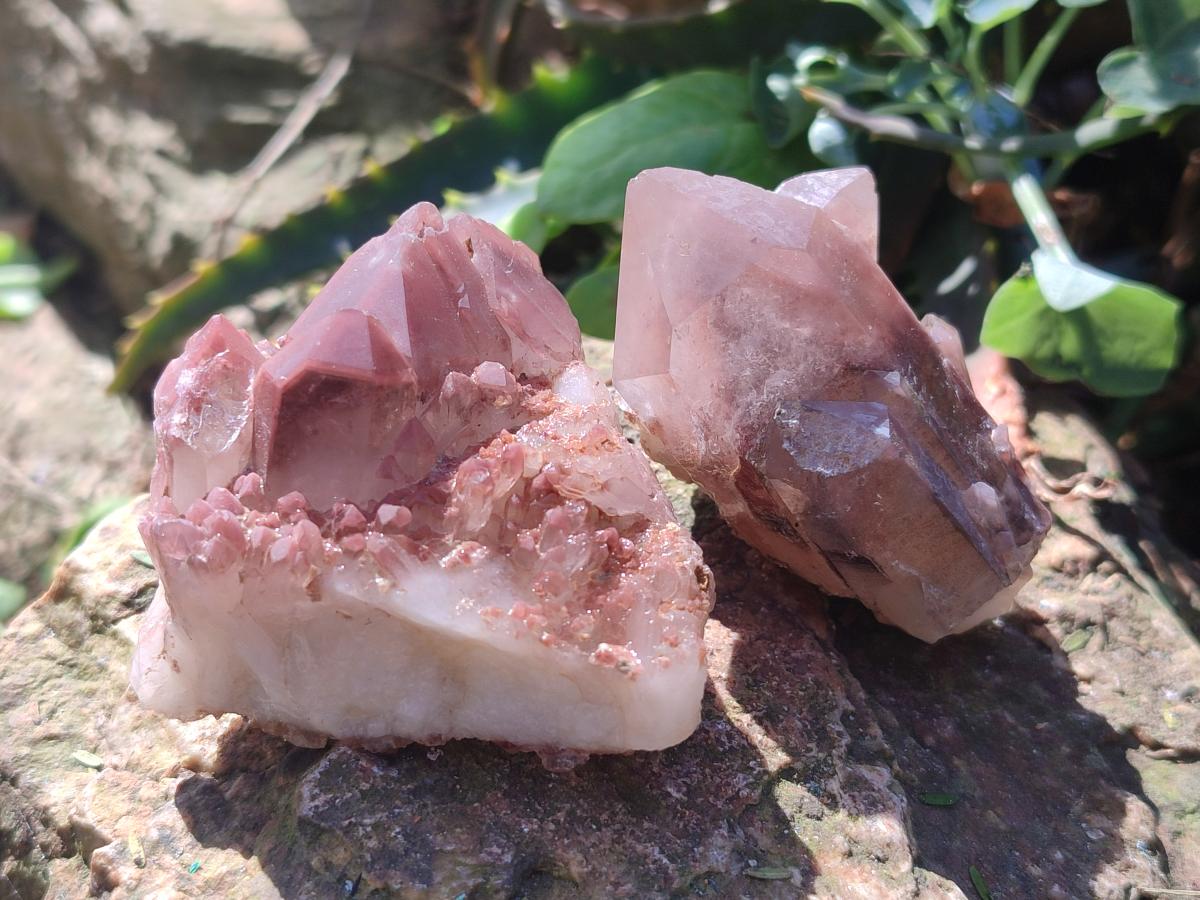 Natural Red Hematoid Quartz Crystals x 24 From Karoi, Zimbabwe - Toprock Gemstones and Minerals 