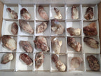 Natural Red Hematoid Quartz Crystals x 24 From Karoi, Zimbabwe - Toprock Gemstones and Minerals 