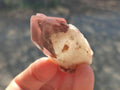 Natural Red Hematoid Quartz Crystals x 24 From Karoi, Zimbabwe - Toprock Gemstones and Minerals 