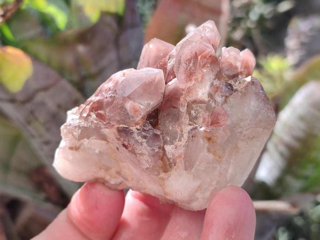 Natural Red Hematoid Quartz Crystals x 24 From Karoi, Zimbabwe - Toprock Gemstones and Minerals 