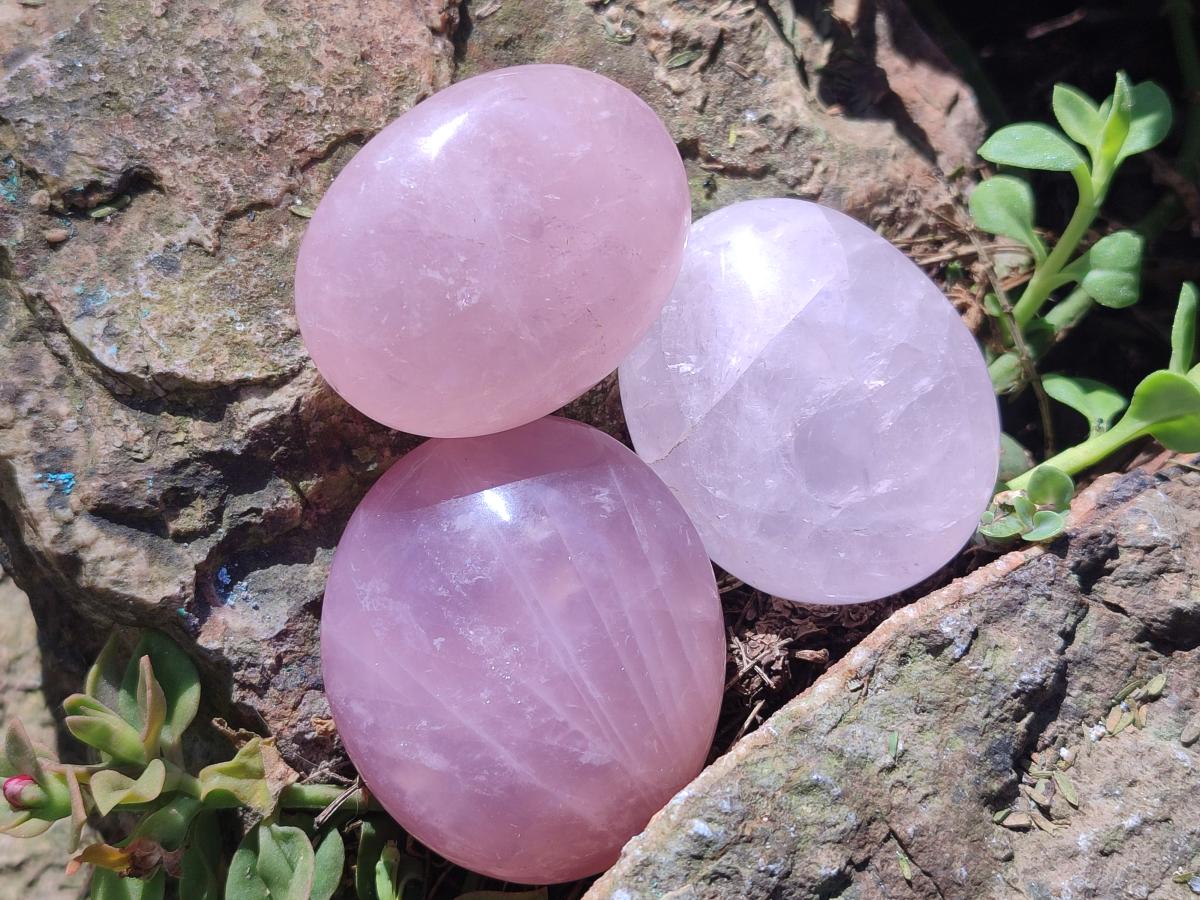 Polished Gemmy Rose Quartz Galets x 24 From Madagascar - Toprock Gemstones and Minerals 