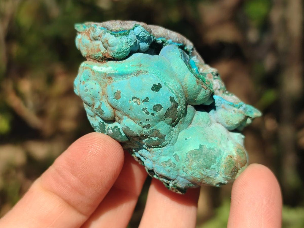 Natural Botryoidal Chrysocolla Specimens x 19 From Kulukuluku, Congo - Toprock Gemstones and Minerals 