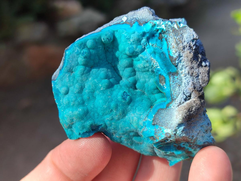 Natural Botryoidal Chrysocolla Specimens x 19 From Kulukuluku, Congo - Toprock Gemstones and Minerals 